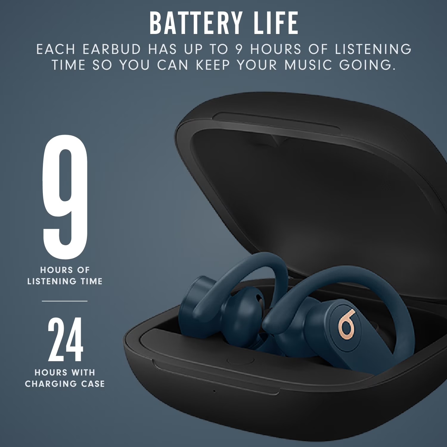 Beats Powerbeats Pro In-Ear Wi - đánh giá và giá Beats Headphone Powerbeats Pro